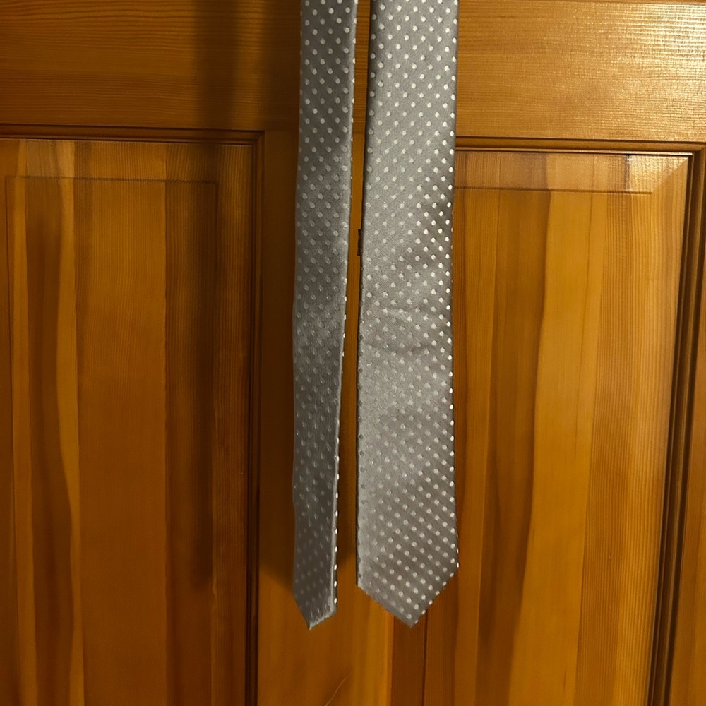 14th & Union Silver Polka Dot Tie